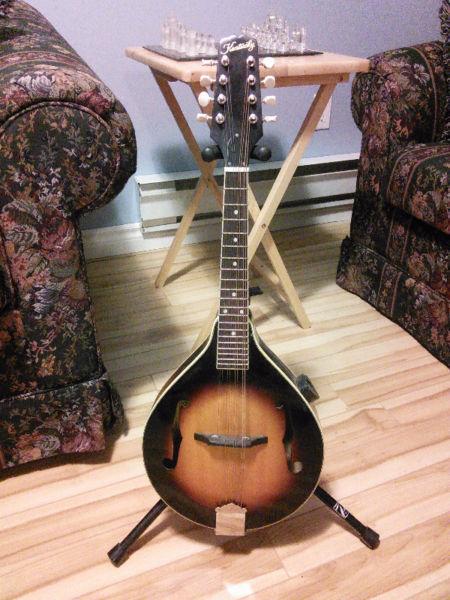 For sale left handed Kentucky mandolin