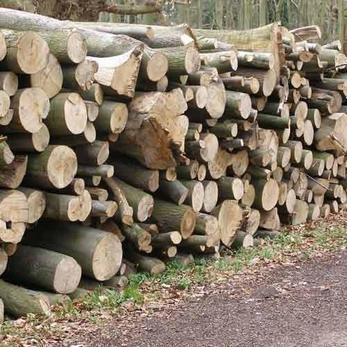 $170 Firewood hardwood logs &1yr dry split for sale 580-0372