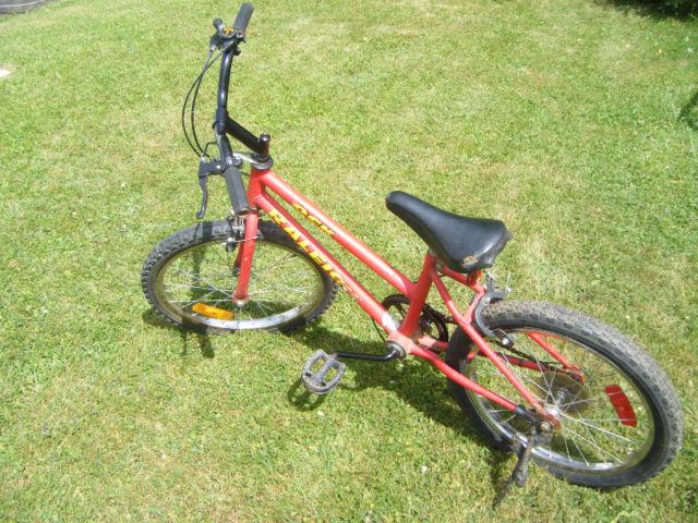20 inch Raleigh bike for sale in Truro