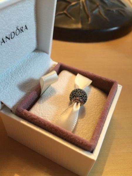Wanted: Pandora sterling silver charm