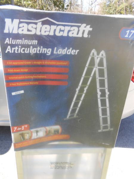 Mastercraft 17 Foot Ladder