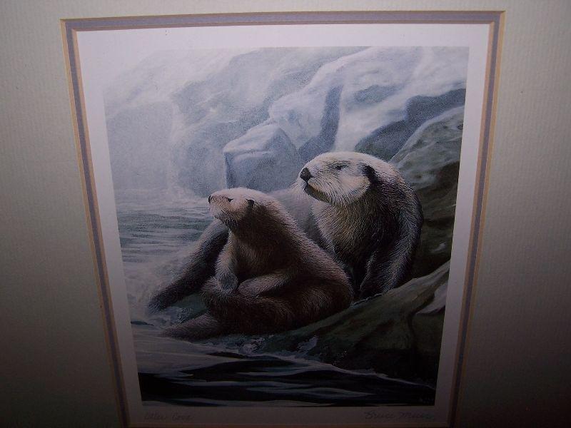 OTTER PRINT by BRUCE MUIR.SIGNED & DATED 1993