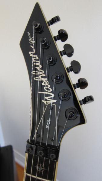 WASHBURN CUSTOM. AMAZING SOUND