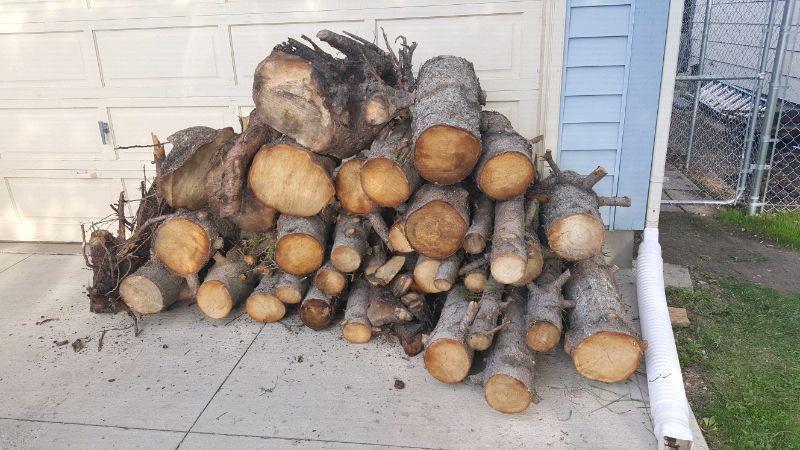 Free Firewood