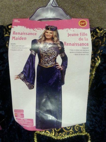 Renaissance Maiden costume
