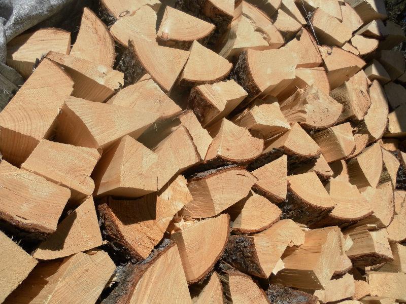 seasoned/split pine firewood
