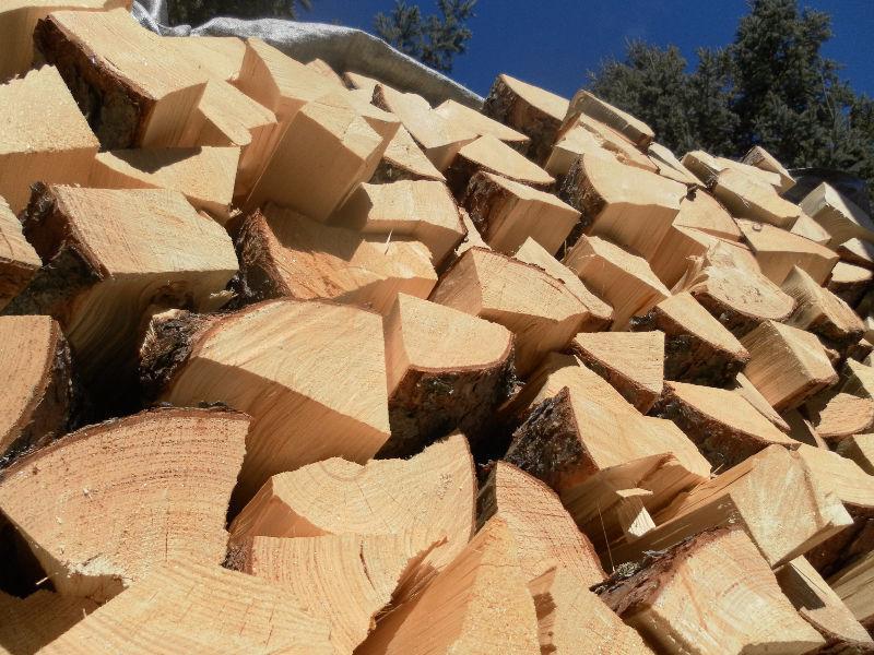 seasoned/split pine firewood