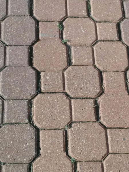 Wanted: Paving stone /patio. stone