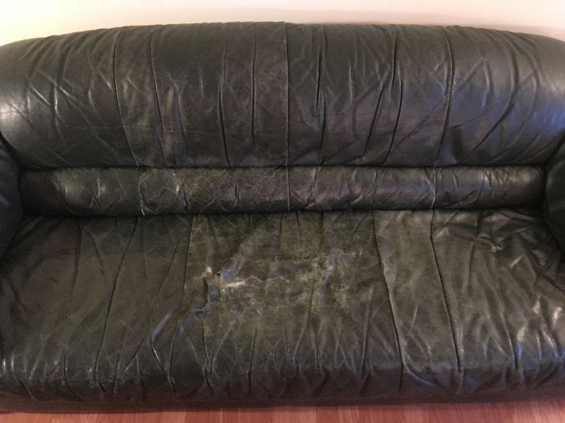 FREE Faux Leather Sofa
