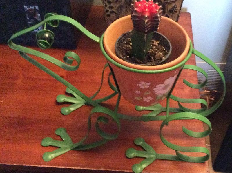 FROG PLANTER CONTAINER WITH CACTUS