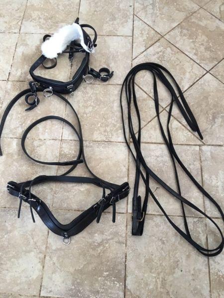 Pony Harness