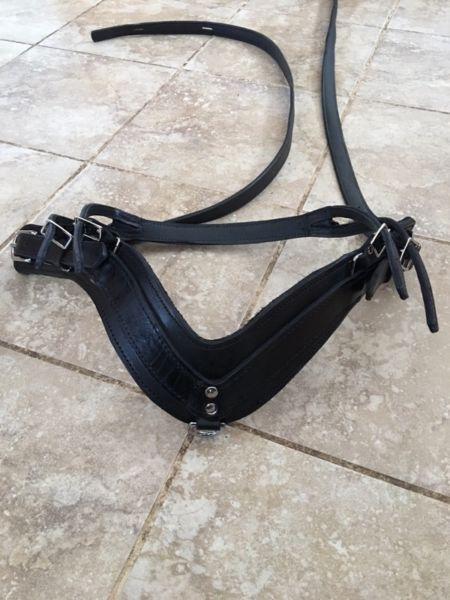 Pony Harness