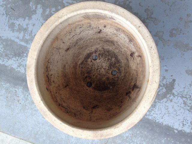 ceramic plant pot