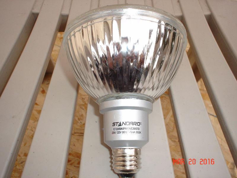 PAR 38 23WATT LAMPS