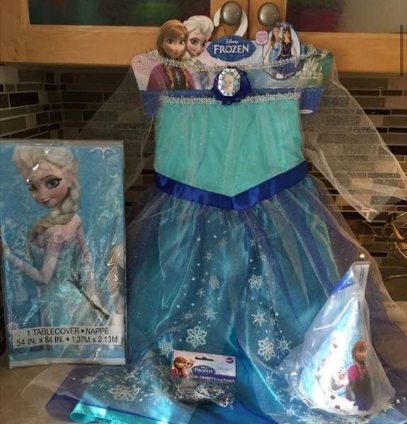 Disney Frozen Elsa Dress & Party Supplies