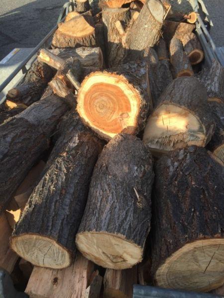 Elm/hardwood/firewood