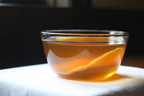 Kombucha Mother Scoby and Starter Tea