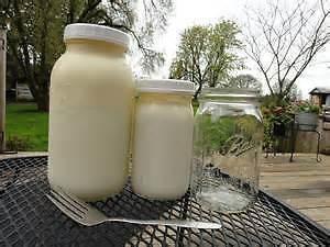 Delicious and Healthy Homemade Organic Dairy Kefir