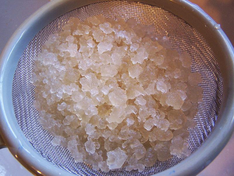 Water Kefir Grains