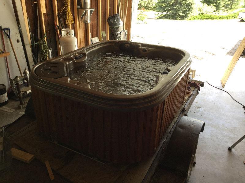 Pacific Spa Hot tub