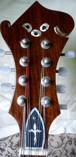 Deep Ocean mandolin, $1000.00 OBO