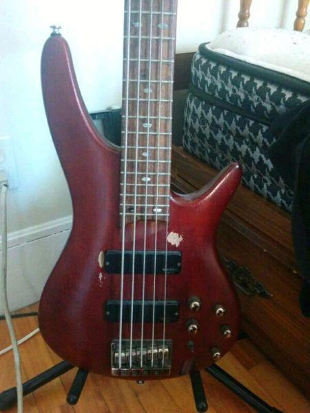 Ibanez sdgr 505 (with soft shell case)