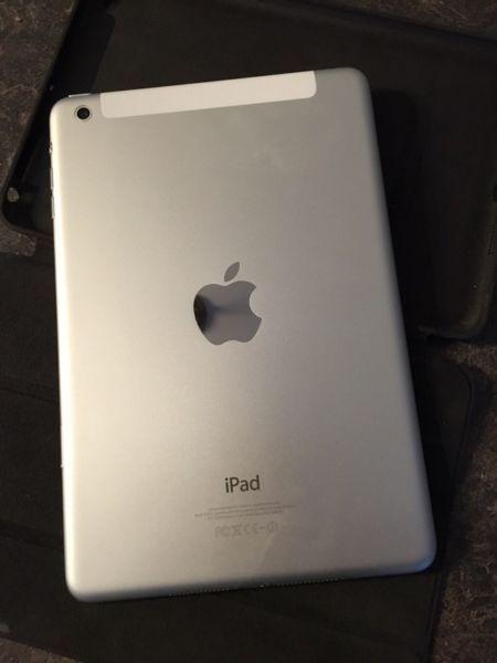 iPad mini 64GB WiFi + Cellular with Case
