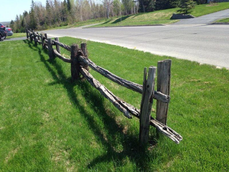 Old ceader fence posts