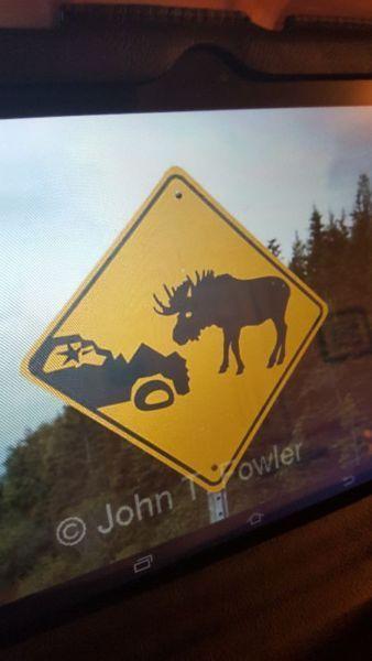 Wanted: WANTED - Moose sign crossing