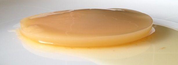 Kombucha SCOBY Culture - Learn to make your own