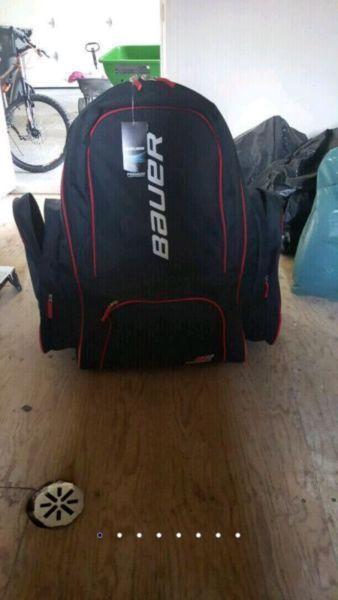 Hockey bag and gear reduced