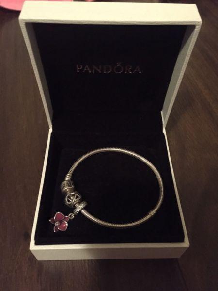 Pandora Bracelet and two charms