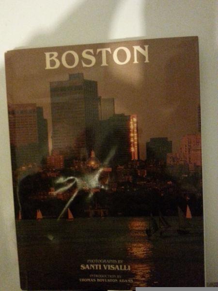 Boston Picture Book