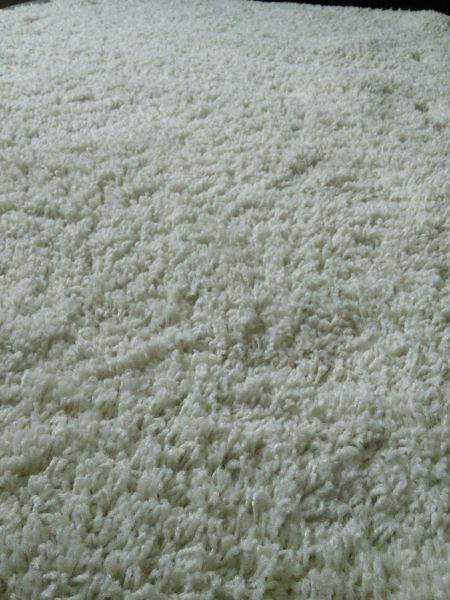 Nice fluffy rug