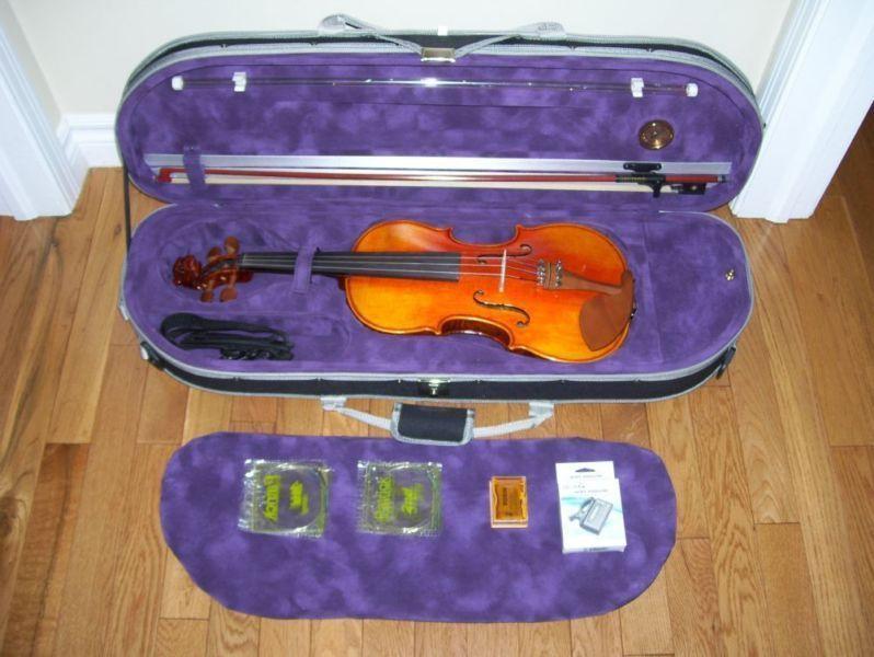 A beautiful 4/4 birds eye maple violin