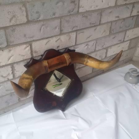 Vintage Bull HORNS with Small Mirror