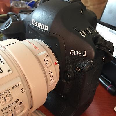 Canon 1D mark iii (mk3) camera body, batteries and charger