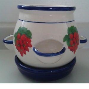Ceramic Kitchen Herb Pot