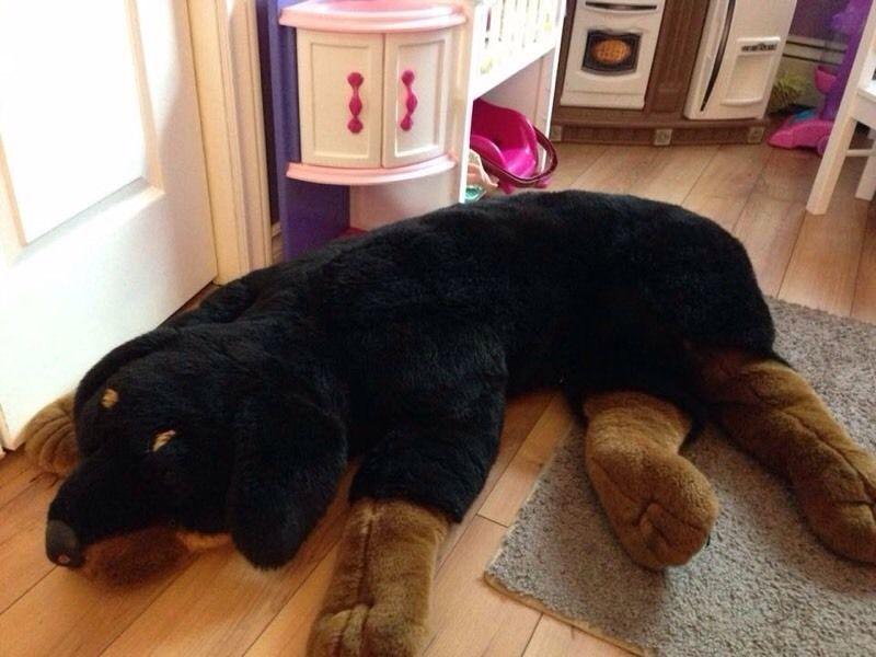 Giant stuffed Rottweiler