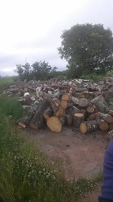 U-Pick Firewood