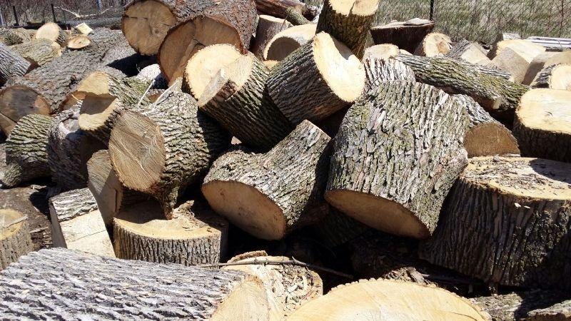 8 Bushcords Hardwood Log Rounds $1300 delivered