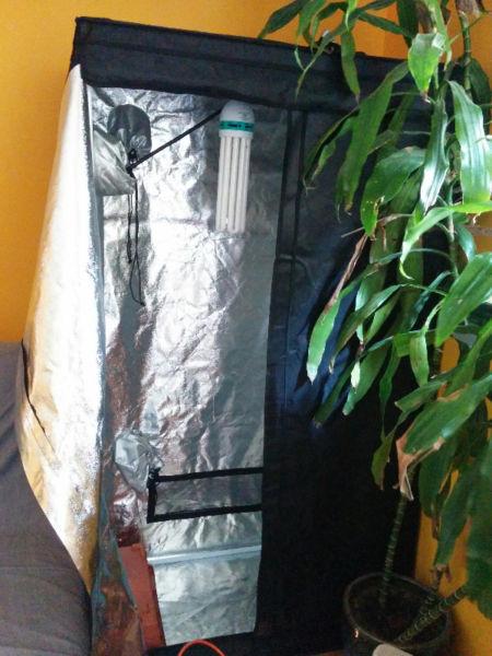 Hydroponic Grow Tent and Compact Fluorescent Bulb $140 OBO
