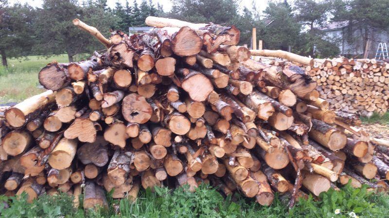 Seasoned spruce firewood