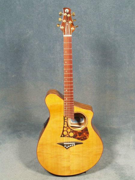 Custom-Made Acoustic Guitar
