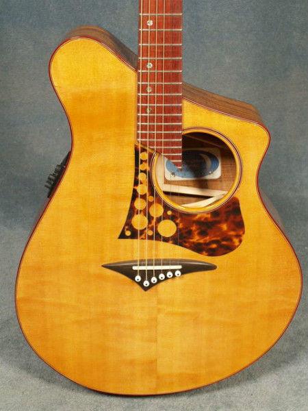 Custom-Made Acoustic Guitar