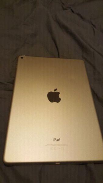 Ipad Air 2 98%new 16GB with WiFi Gold