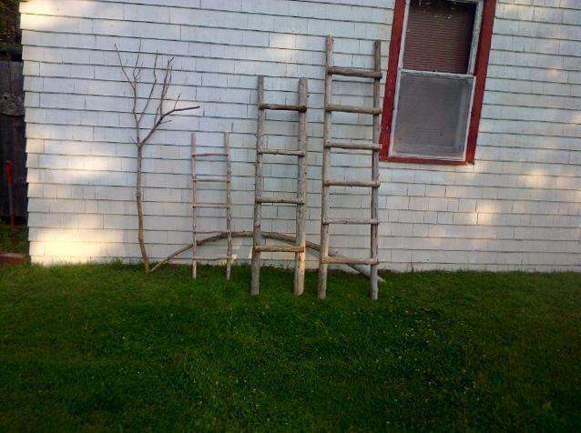 Rustic Driftwood Ladders