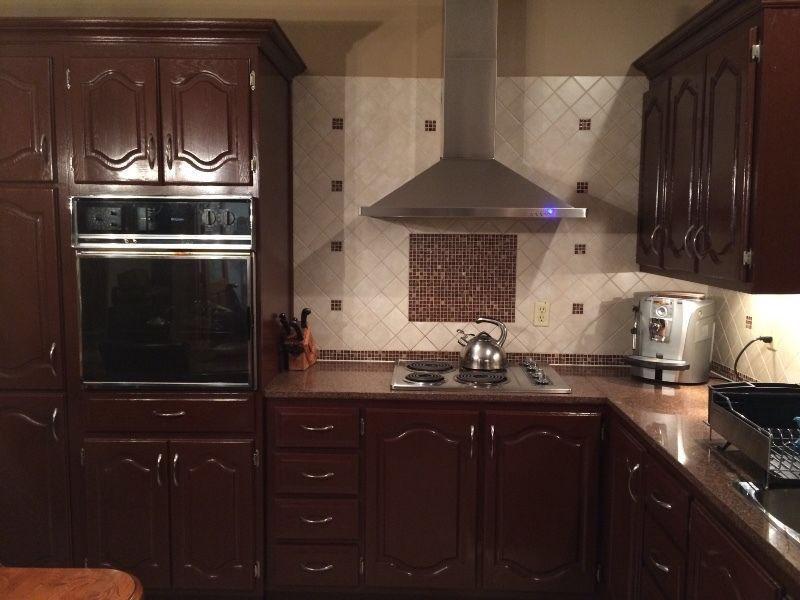 Solid ok kitchen cabinets + granite counter tops