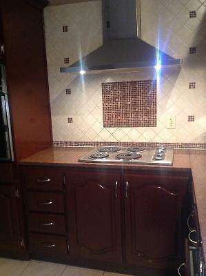Solid ok kitchen cabinets + granite counter tops
