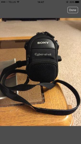Sony LCS-CSD General Case for Compatible Cybershot